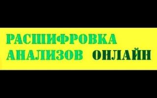 Расшифровка клинического анализа крови у взрослых, норма показателей у женщин и мужчин