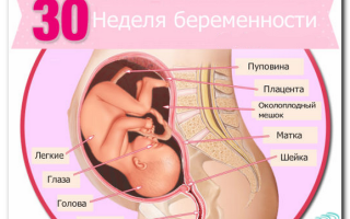 Зд узи при беременности в 30 недель, видео и фото