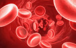 Эритроциты в крови: норма, за что отвечают и что показывают