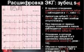 Сколько действует экг, срок годности кардиограммы сердца