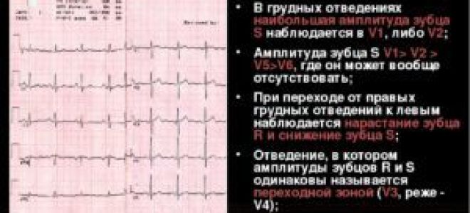 Сколько действует экг, срок годности кардиограммы сердца