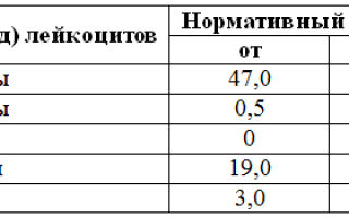 Повышены лейкоциты в крови у женщин: причины повышения, нормы содержания