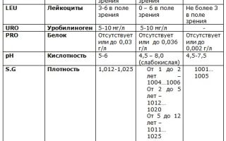 Общий анализ мочи: норма и таблица расшифровки у взрослых, как расшифровать результаты