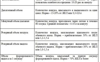 Спирография: как проводится спирометрия легких, подготовка, что это такое (в медицине)