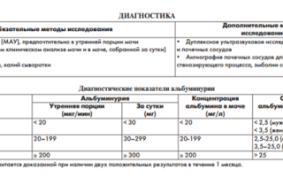 Микроальбумин в моче: что такое мау в анализе на микроальбуминурию, как собирать и сдавать