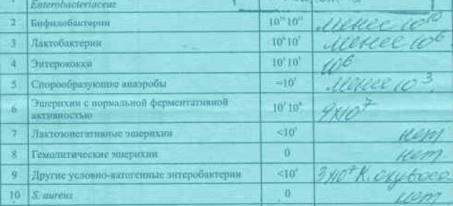 Кал на упф: что это за анализ, как сдавать исследование на патогенную кишечную группу