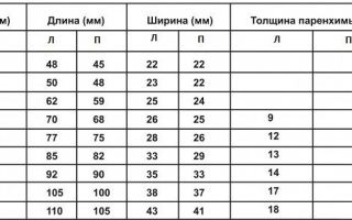 Мрт почек с контрастирование, подготовка к процедуре с контрастом и без