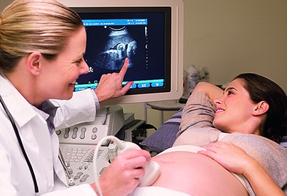 Как часто можно делать УЗИ при беременности на ранних сроках, сколько раз