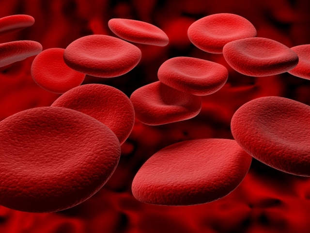 Понижен гемоглобин в крови: причины снижения у женщин и мужчин, как поднять уровень