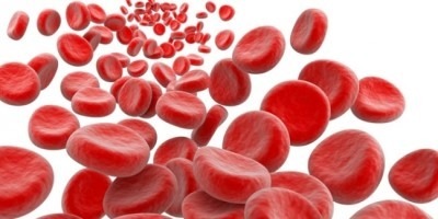 hgb в анализе крови: что это такое, расшифровка, норма у женщин и мужчин