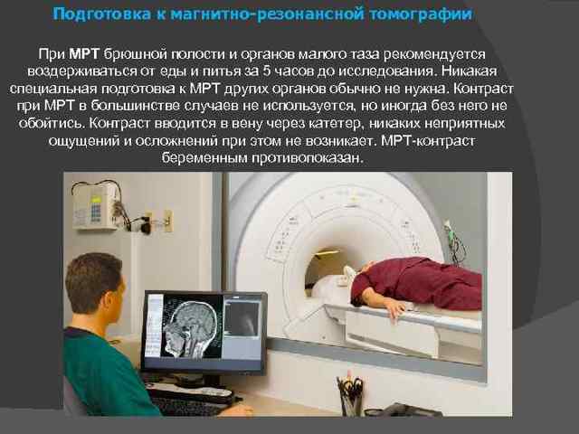 МРТ органов малого таза у мужчин: что показывает, показания, подготовка