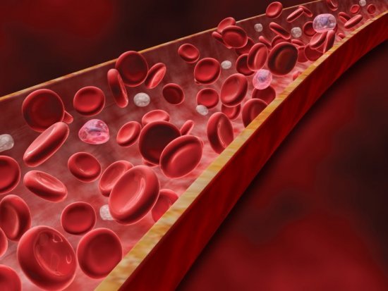 Анализ крови на холестерин: как правильно подготовиться и сдавать, откуда берут, расшифровка
