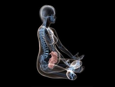Рентген при беременности: можно ли делать беременным на ранних сроках, последствия