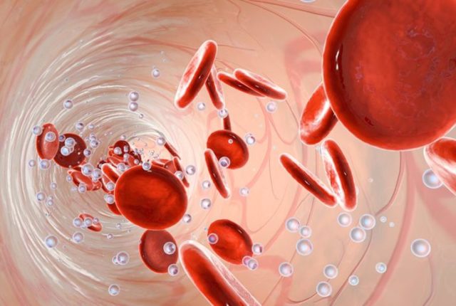 Повышены эритроциты в крови у взрослого: что это значит, причины повышения