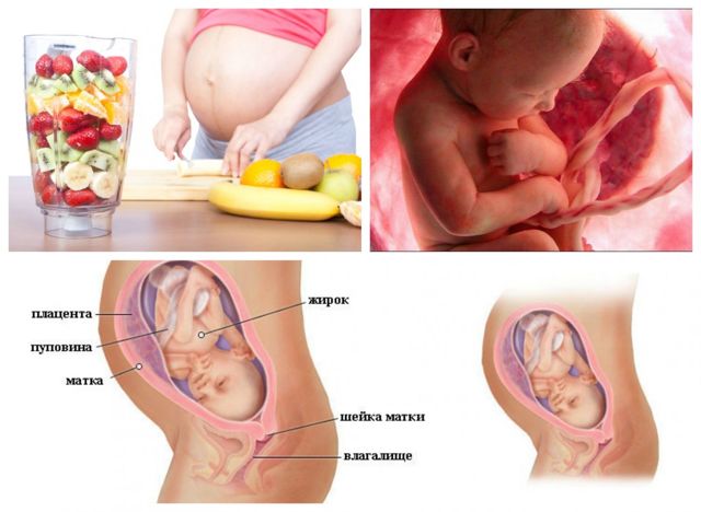 Как выглядит ребенок в 30 недель беременности на УЗИ: фото, что смотрят