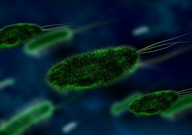 Бактерии в моче: что это значит, причины бактериурии, лечение, как избавиться