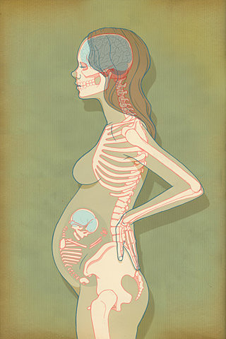 Рентген при беременности: можно ли делать беременным на ранних сроках, последствия