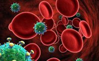 Анализ крови на ВИЧ: сдается натощак или нет, расшифровка общего анализа