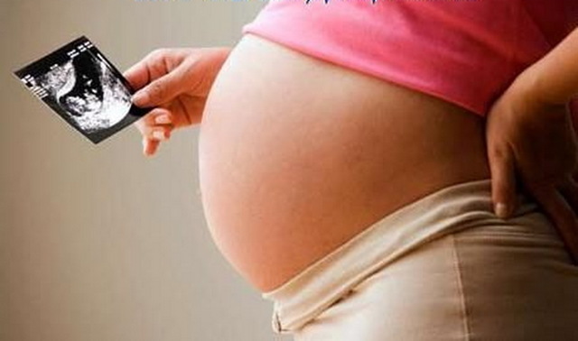 Определение пола ребенка на УЗИ на 20 неделе беременности, фото