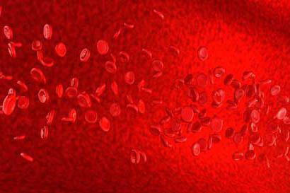 Повышены эритроциты в крови у взрослого: что это значит, причины повышения