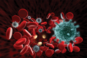 Норма лейкоцитов в крови у мужчин: расшифровка показателей wbc, причины изменения уровня