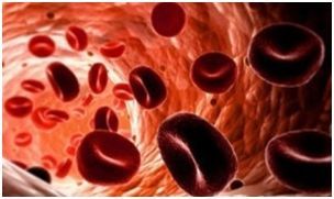 Норма билирубина в крови у женщин и мужчин, что показывает биохимический анализ