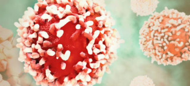 Анализ крови на онкомаркеры: что показывает, как сдавать, расшифровка у женщин и мужчин