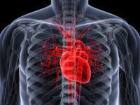 Коронарография сосудов сердца: что это такое, как делают, отзывы пациентов