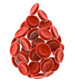 Норма эритроцитов в крови у взрослых мужчин, причины повышения уровня
