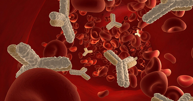 Анализ крови на антитела к кори: как сдавать, расшифровка