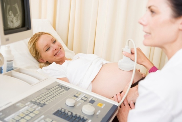 Определение пола ребенка на УЗИ на 20 неделе беременности, фото