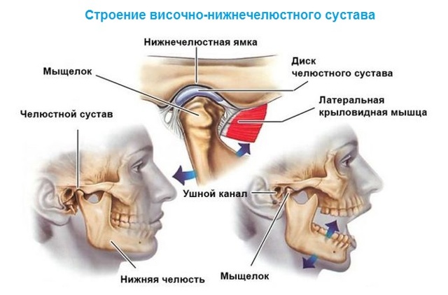 МРТ ВНЧС, головного мозга коронки, челюстно-лицевого сустава, что показывает