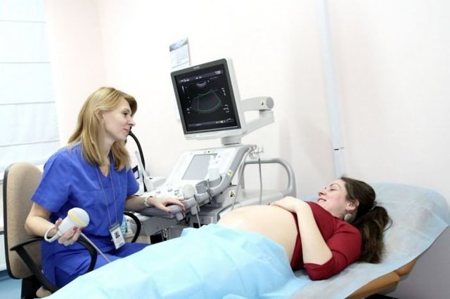 На каком сроке делают второй скрининг УЗИ при беременности, время проведения