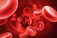 Повышен МСНС в анализе крови: причины, что значит повышение mchc у ребенка