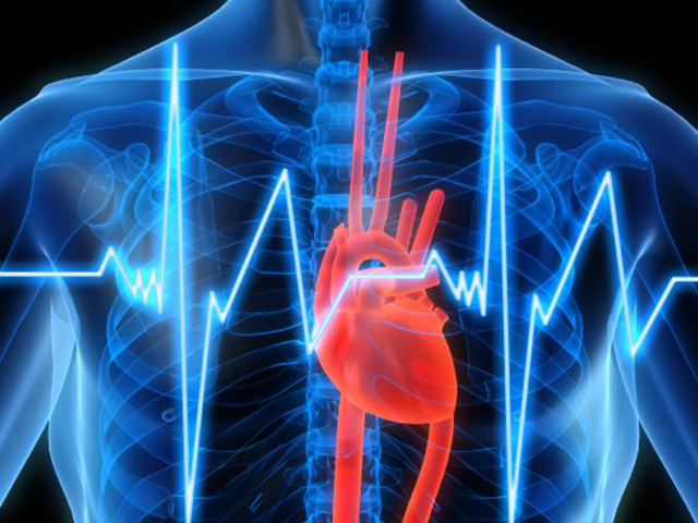 Эхокардиография сердца: что это такое, как делают ЭХО-КГ, какие патологии показывает исследование
