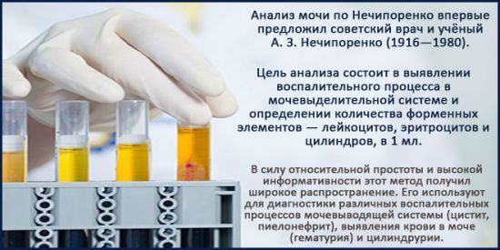 Анализ мочи по Нечипоренко: норма, расшифровка результатов, почему бывают повышены лейкоциты и эритроциты