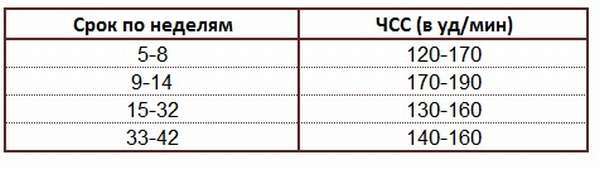 Сердцебиение на 38 неделе. ЧСС плода на 26 неделе беременности норма. Частота сердечных сокращений в норме у эмбриона. Частота сердцебиения плода эмбриона нормы. ЧСС 32 недели беременности норма у плода.