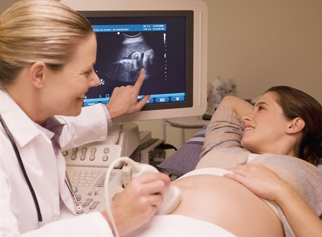 На каком сроке можно определить беременность на УЗИ, когда ее можно определить