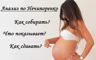 Анализ мочи по Нечипоренко: как собирать беременным, норма при беременности