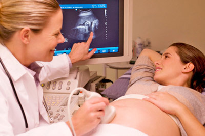 УЗИ сердца плода при беременности: на каком сроке делать, подготовка