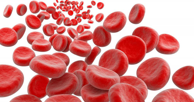 Как понизить гемоглобин в крови у мужчин и женщин, чем снизить, если повышен уровень