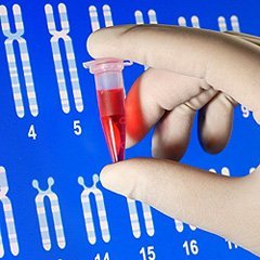 Что означает анализ крови на МОР: какие значения показывает, показания к диагностике