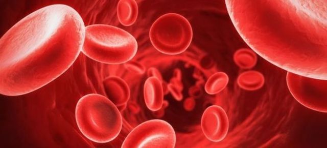 Анализ крови на ферритин: что означает, норма у женщин и мужчин, причины повышения у взрослых